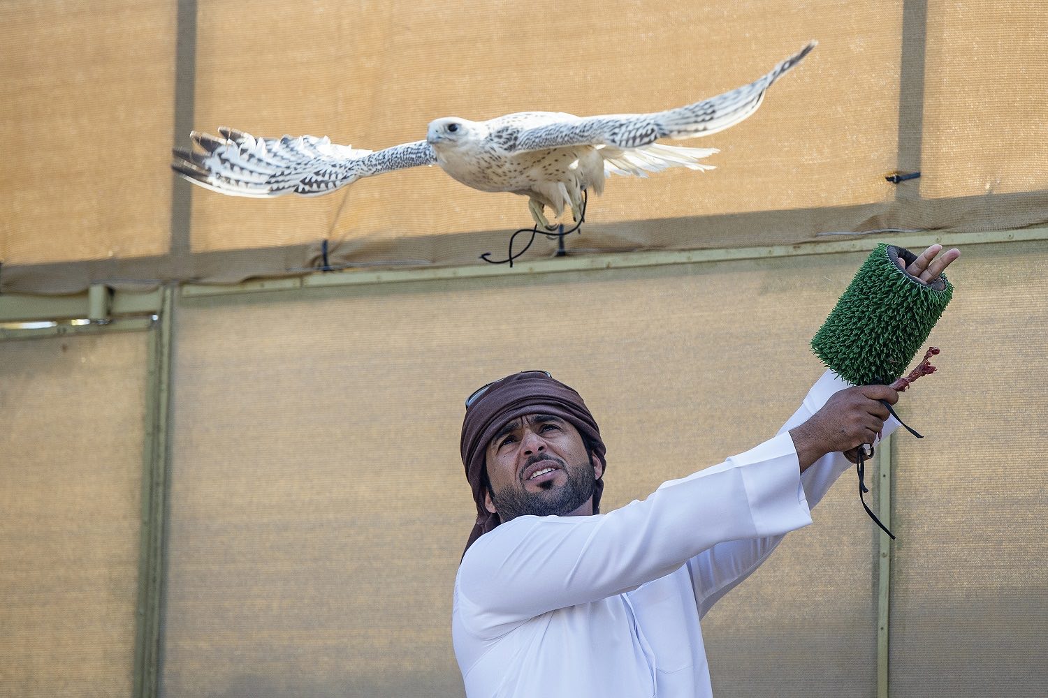 Blog-Details Thumbnail