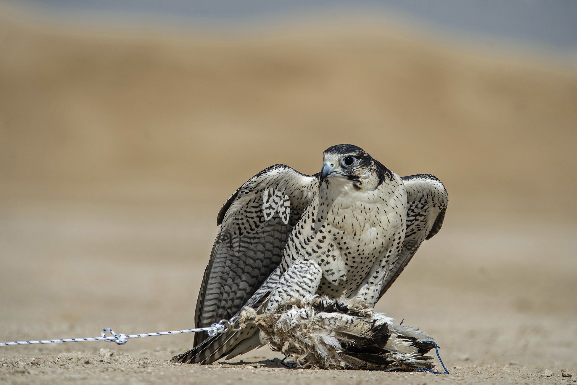 Blog-Details Thumbnail