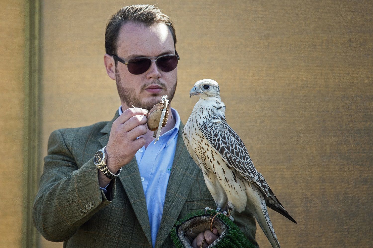 Blog-Details Thumbnail