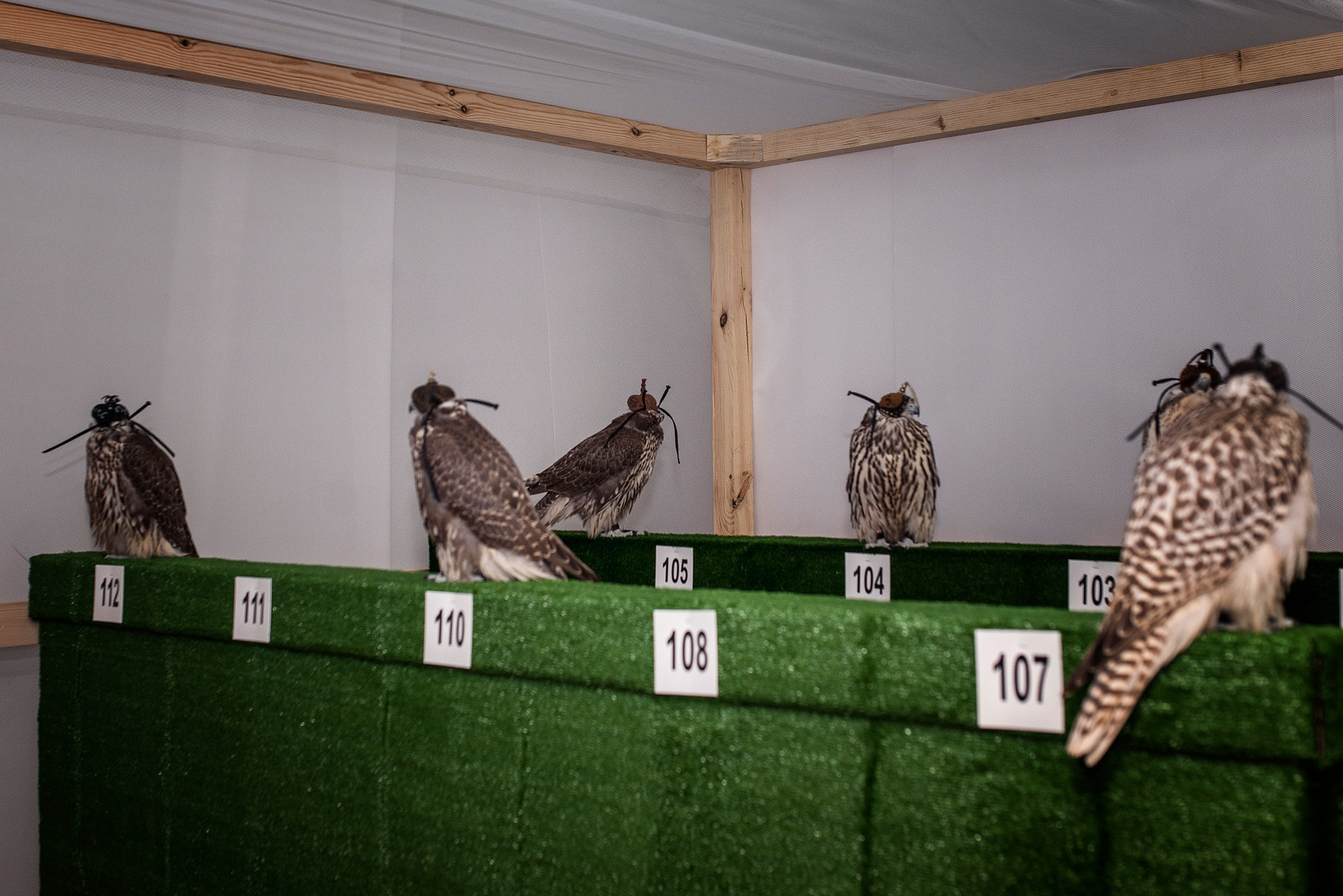 Blog-Details Thumbnail