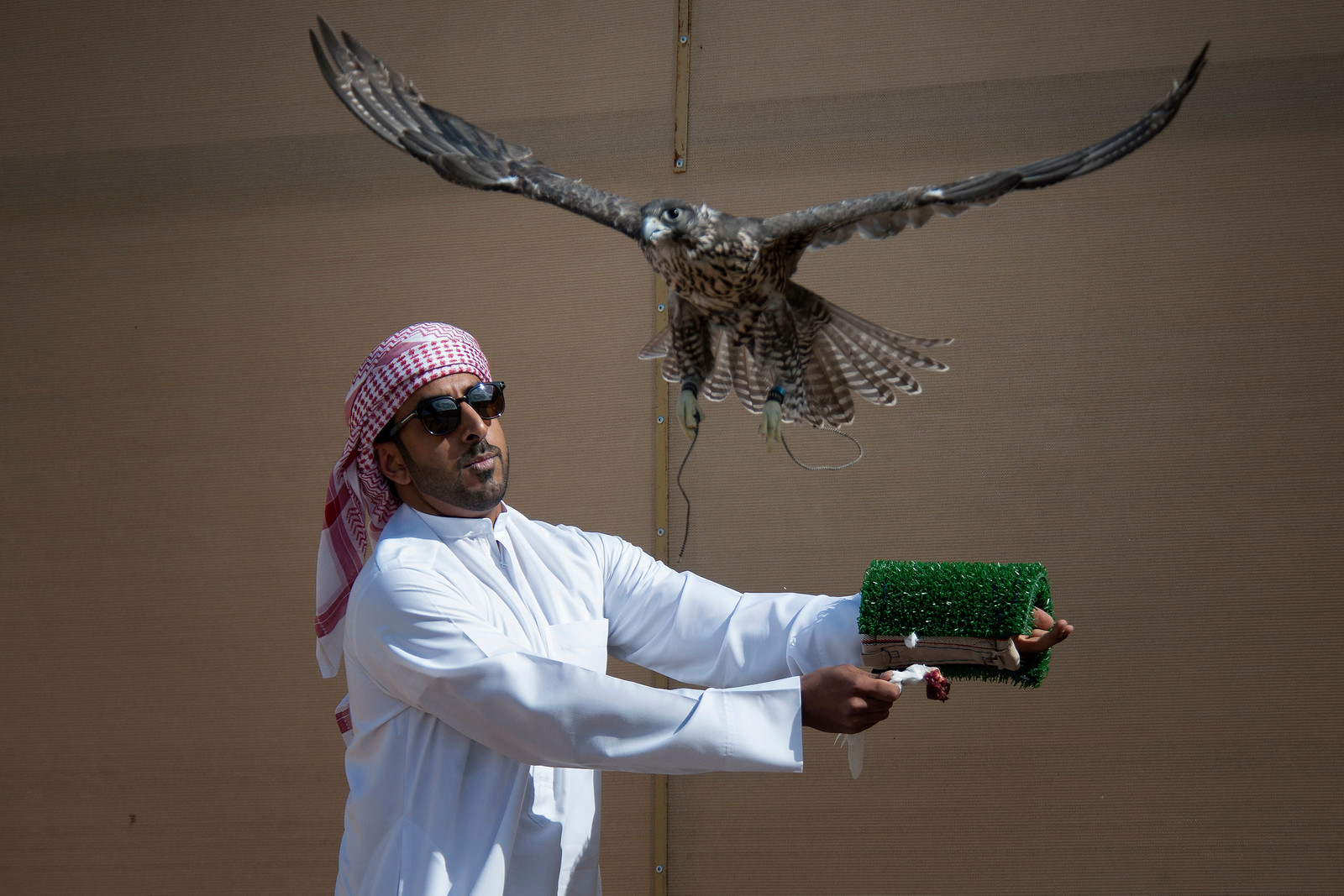 Blog-Details Thumbnail