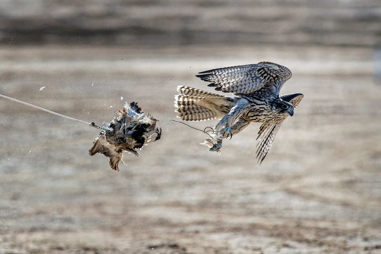 Blog-Details Thumbnail