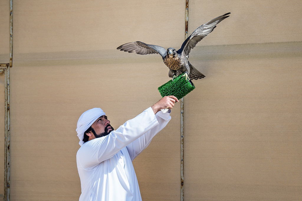 Blog-Details Thumbnail