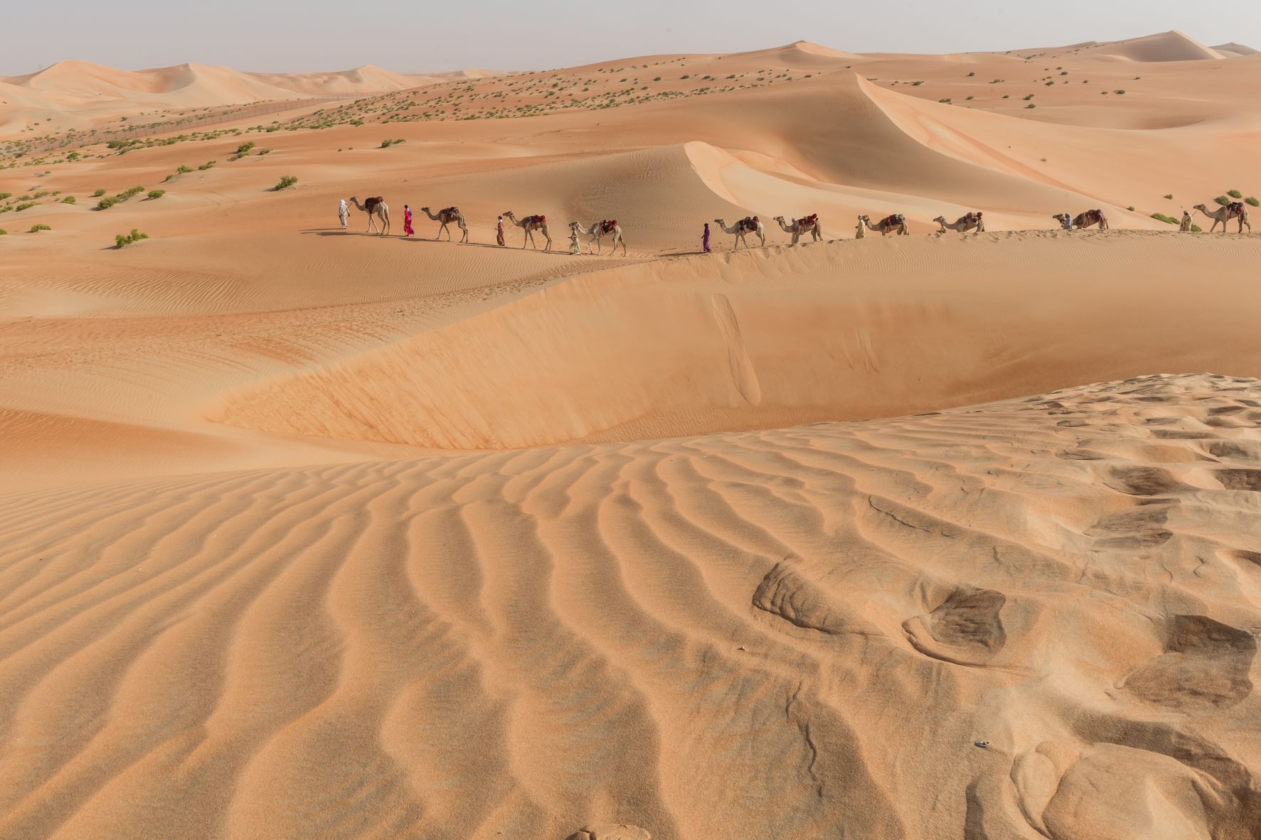 Blog-Details Thumbnail