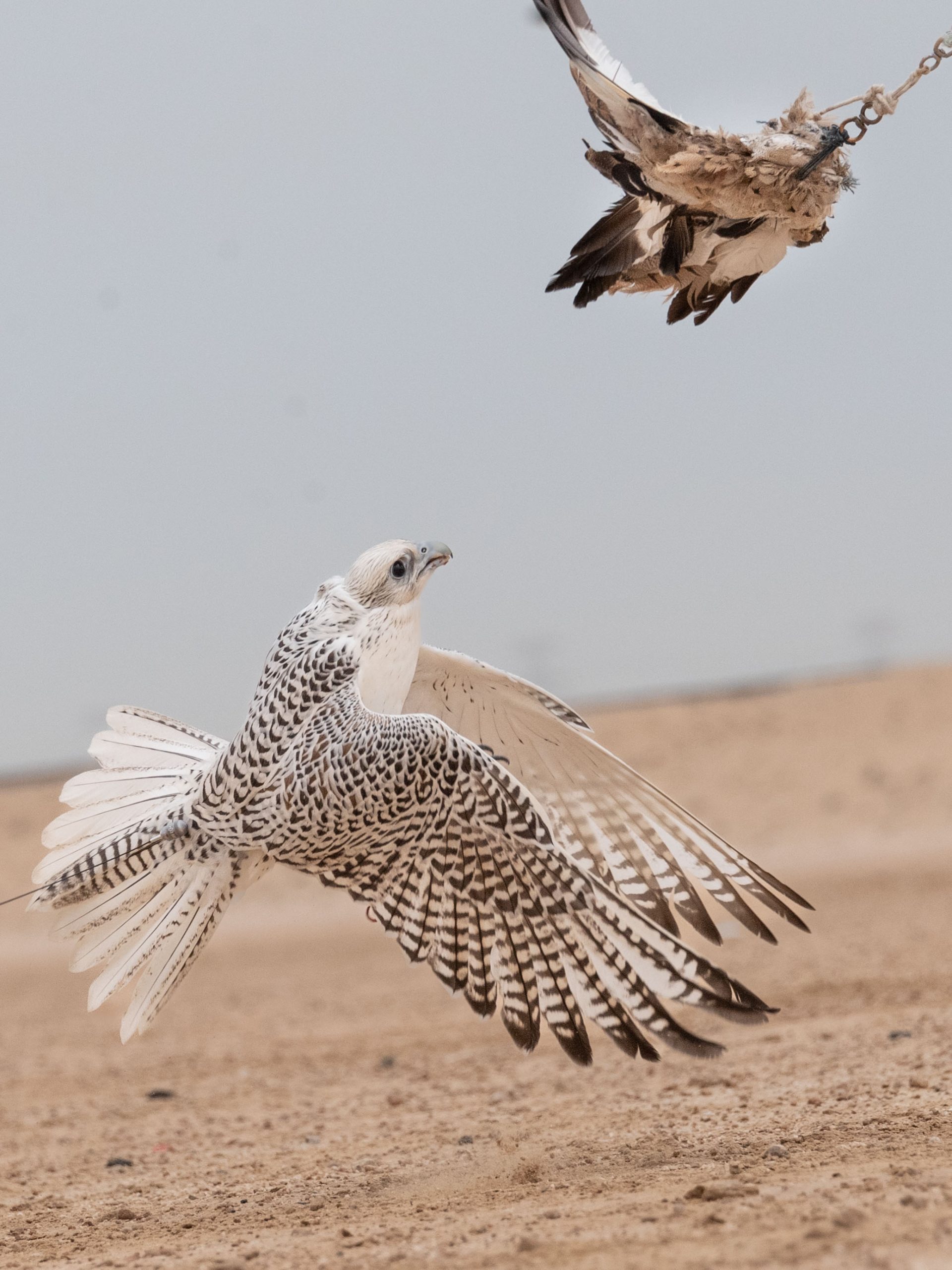 Blog-Details Thumbnail