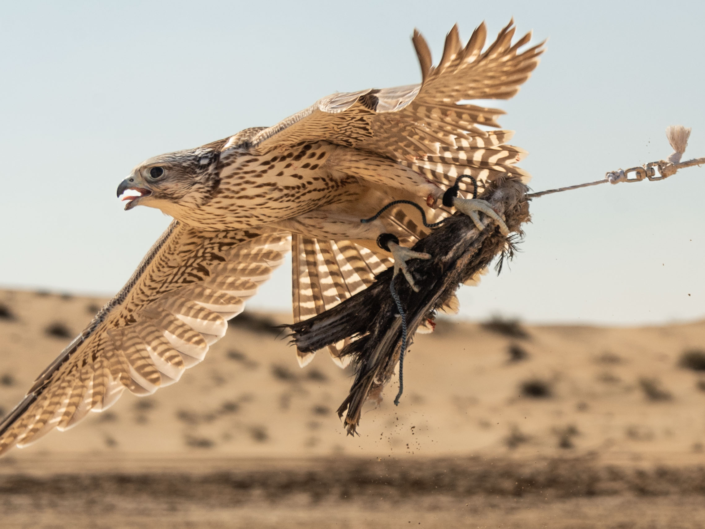 Blog-Details Thumbnail