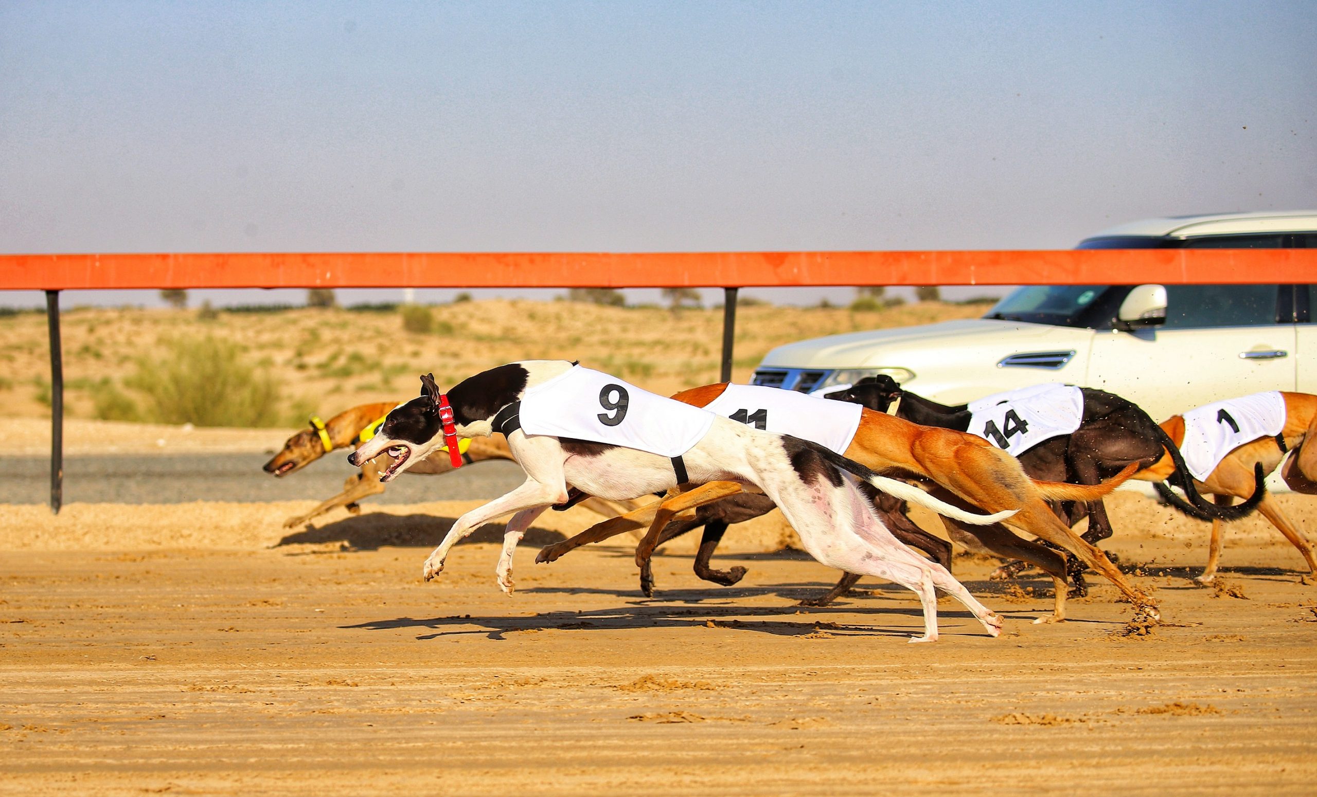 Blog-Details Thumbnail