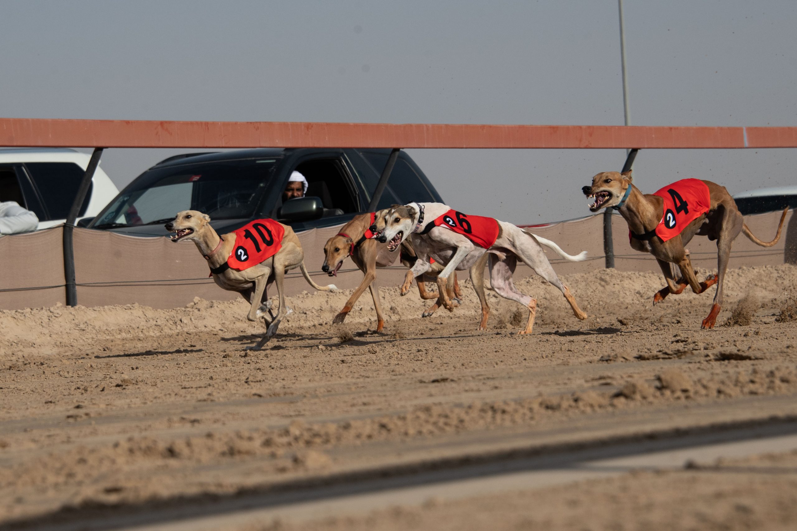 Blog-Details Thumbnail