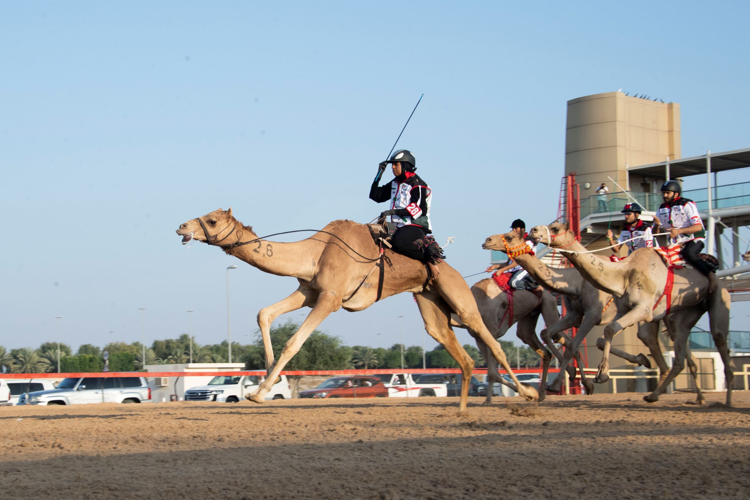 Blog-Details Thumbnail